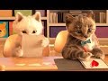 Lindo Gatito y Amigos Aventuras - Bebé Aprende Colores Nuevos Juegos | Dibujos Animados Infantiles