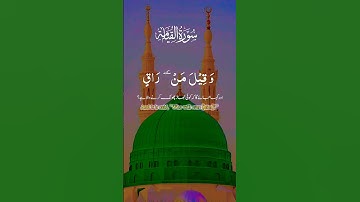 كلا اذا بلغت التراقي وقيل من راق - سورة القيامة