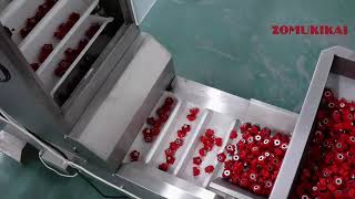 Hardware Fastener Automatic Rotary Zipper Bag Doypack Packing Machine