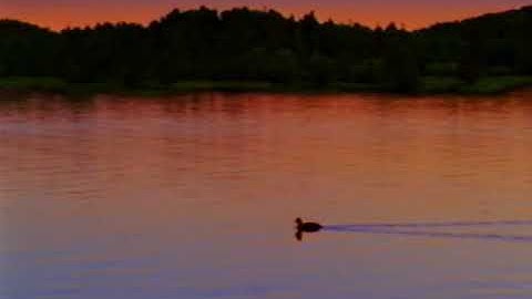 Let’s Play School Credits Comparison (Screener vs. Final Version) (V1) (Demo Version) FINAL PART!!