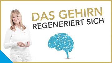 Kann sich das Gehör wieder regenerieren?