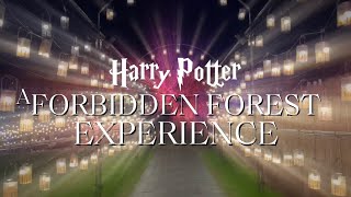 tapiocaVLOG = Harry Potter Forbidden Forest Experience @ Mount Martha (The Briars) Melbourne