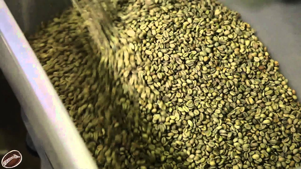 Zarraffa's Coffee Green Bean Blending YouTube