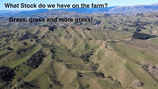 From The City?? | View Our New Zealand Farm! - Autumn