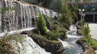 Ahmet Bildirici Alli Gelin (Damardan) Resimi