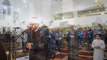 تراويح مسجد الرحمن النرجس 5 التجمع الخامس القارئ الشيخ محمود حرفـوش