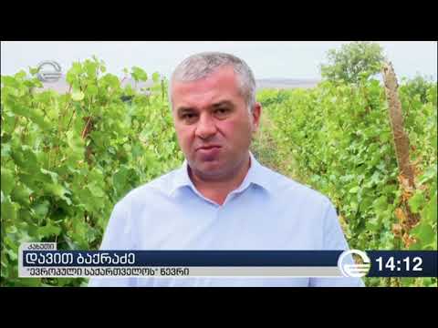 მოხუცს პენსია, გლეხს სუბსიდია