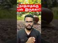 #snails #trending #shortsfeed #viralshorts #factstamil #animalfacts @VoiceOfRavikumar