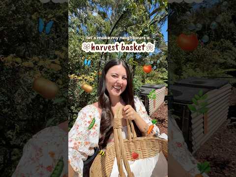 Let’s make my neighbours a harvest basket! 🍅🫛🥔🥕🧺☀️