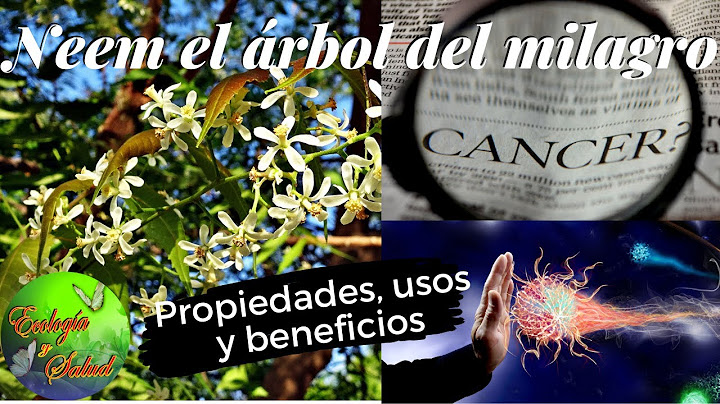 Neem, propiedades, usos y beneficios.