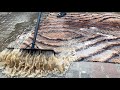 Scraping dirty water off carpets Compilation Pt. 16 || Satisfying Video