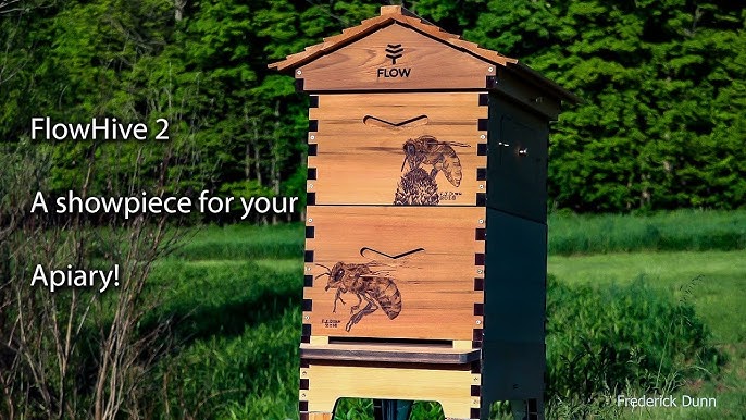 5 Ways To Flow Hive 2 Unboxing Step-by-step Assembly 2024
