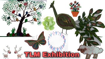 TLM Exhibition | ECCE | FLN Training | ECCE Training | Teacher Training