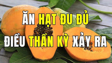 Người Cao Tuổi Ăn Hạt Đu Đủ Theo Cách Này: 7 Căn Bệnh Biến Mất Không Dấu Vết!