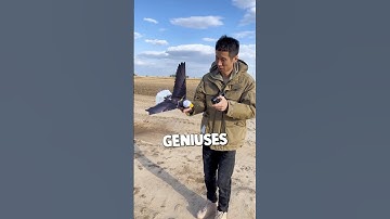 This Bird Is Robotic!