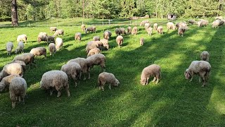 Kasprowy Wierch i co z tymi oscypkami? Czas mama z córką.