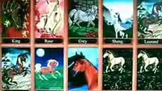 My Bella Sara Horses