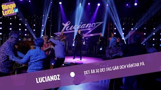Lucianoz - Det är ju dej jag går och väntar på - Live i BingoLotto
