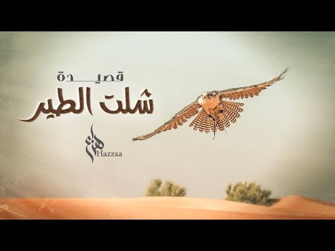 من خلال القناة الرسمية لهزاع الرئيسي شاهد واستمع الكليب الرسمي لاغنية شلت الطير 2020 كاملة