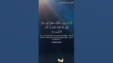 القارئ: شيخ ابو بكر الشاطري/دار البلاغ 💙 #quran #islam #allah
