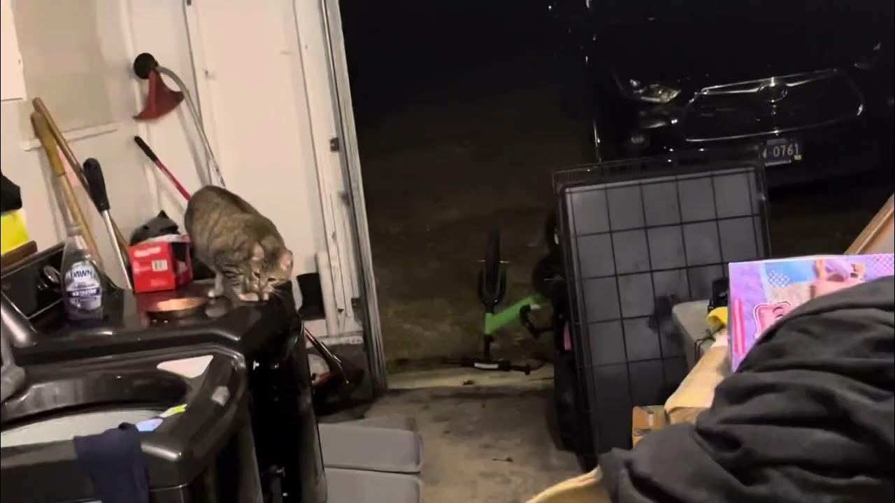 Overhead door odyssey 1000 on a 16x7 unknown door YouTube