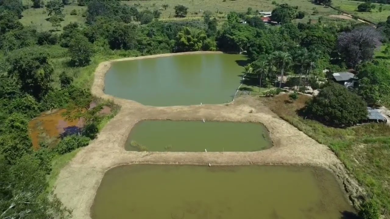 Chácara 8 ALQU VALOR 4.900.000 Próx PETROLINA de Goiás 62 981414270 ACEITA IMÓVEIS