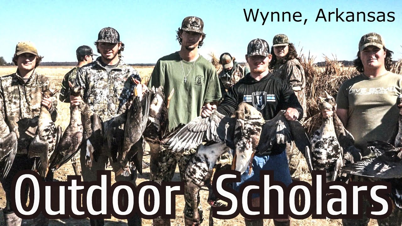 The Arkansas Experience Specklebelly Goose Migration YouTube