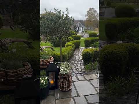 Самый красивый сад, самый зелёный двор, самый ухоженный газон, самый крутой проект по озеленению