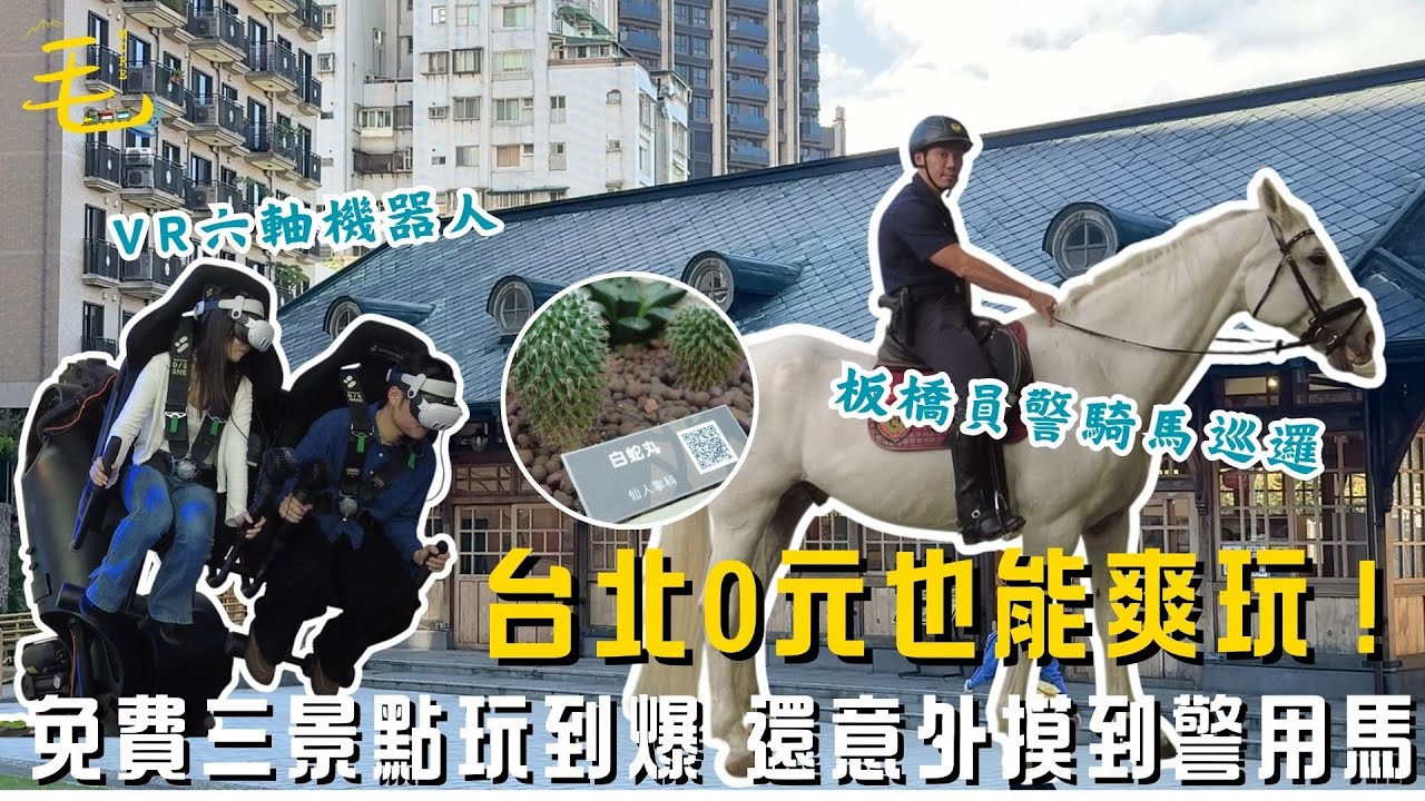 免費景點（上）｜台北三個免費景點無聊到爆！本來只是想省錢…最後竟然摸到警察的馬？？【毛很多】