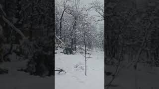 zaming kale ke ware 🌨️❄️❤️ #unfrezzmyaccount #subscribe #account #nosubscription