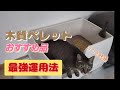 【節約猫用品】超格安で交換不要の木質ペレット！猫と懐に優しくて衛生的な猫砂運用方法！