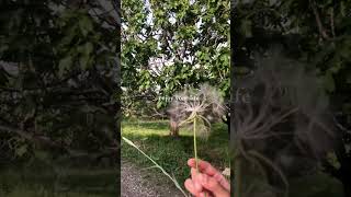 Hayatından Keyif Al 📌