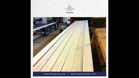 Russian Spruce / Pine Wall and Ceiling Panels from...