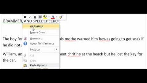 Shan demos Grammer and Spell Checker