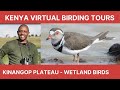 Kenya Virtual Birding Tours S01 Ep01: Kinangop Plateau - Wetland Birds