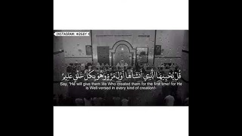 ايات من القران الكريم تريح القلب.