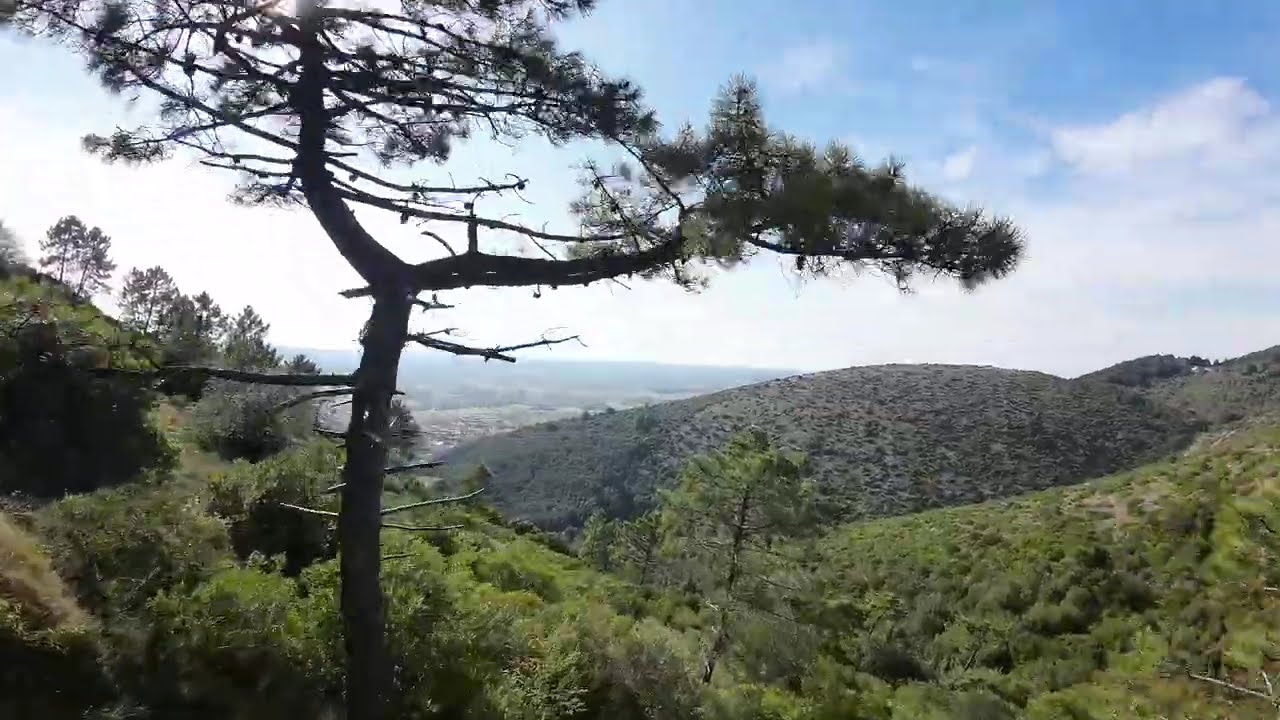 Passo di Dante - Monte Pisano-  19 10 2025