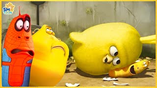 Larva Desenho Animado - TEMPORADA 3 EPISÓDIO 40 ~ 70 - CARTOONS NOVA VERSÃO - SMTOON BRASIL 2024