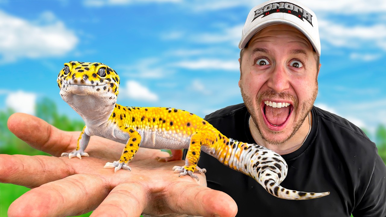 Latest Title & Thumbnail