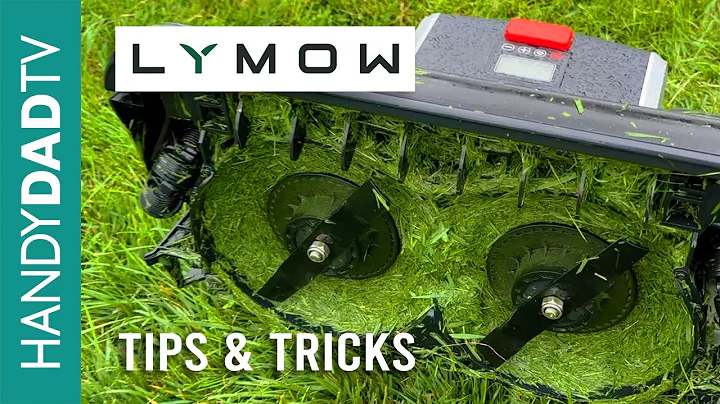 Lymow Tips & Tricks