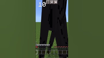 Which armor can save you from enderman? | Part 4 #minecraft