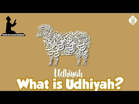 Vídeo: O que Udhiyah significa?