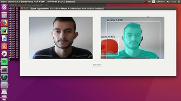 Object Segmentator Mask R-CNN (run now mode)