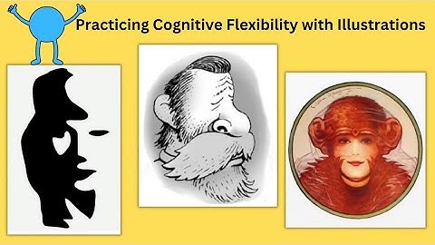 Practicing Cognitive Flexibility with Illustrations