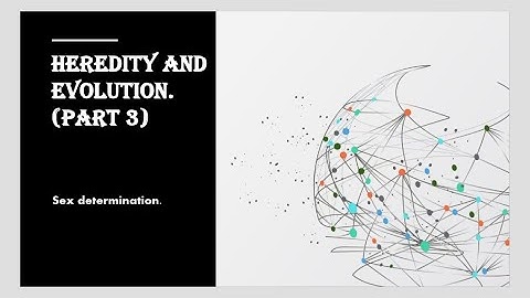 NCERT 10 SCIENCE || HEREDITY AND EVOLUTION (PART 3) || SEX DETERMINATION
