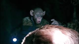 Oh No Meme | Planet of the Apes Meme