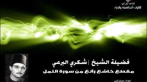 (2) مقطع خاشع رآئع من سورة النمل للشيخ | شكري البرعي❤