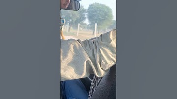 Jaat ka chora #car #jaat #popular #shortsfeed #shortvideo #short