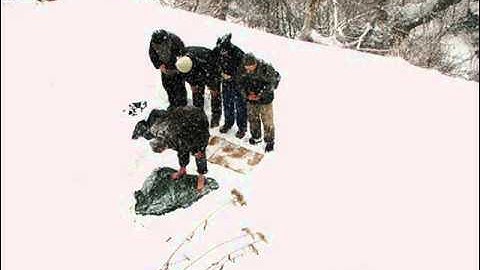 تلاوات خاشعة مؤثرة ( الشيخ سلمان العتيبي )