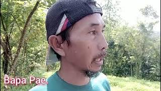 Membangun Jalan Melalui Swadaya Masyarakat Desa Budiharja Kecamatan Sindangkasih.